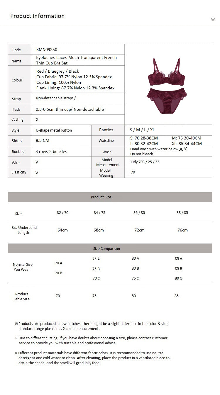 Eyelashes Laces Mesh Transparent French Thin Cup Bra Set Black